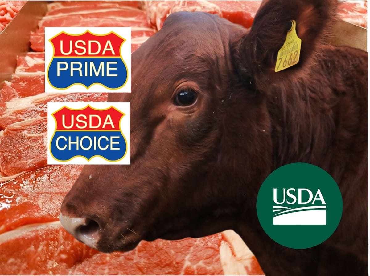 Representantes de R-CALF USA acusan a las empacadoras de ocultar el origen de la carne y demandan prioridad para ganaderos independientes y la seguridad alimentaria. FOTO: ESPECIAL