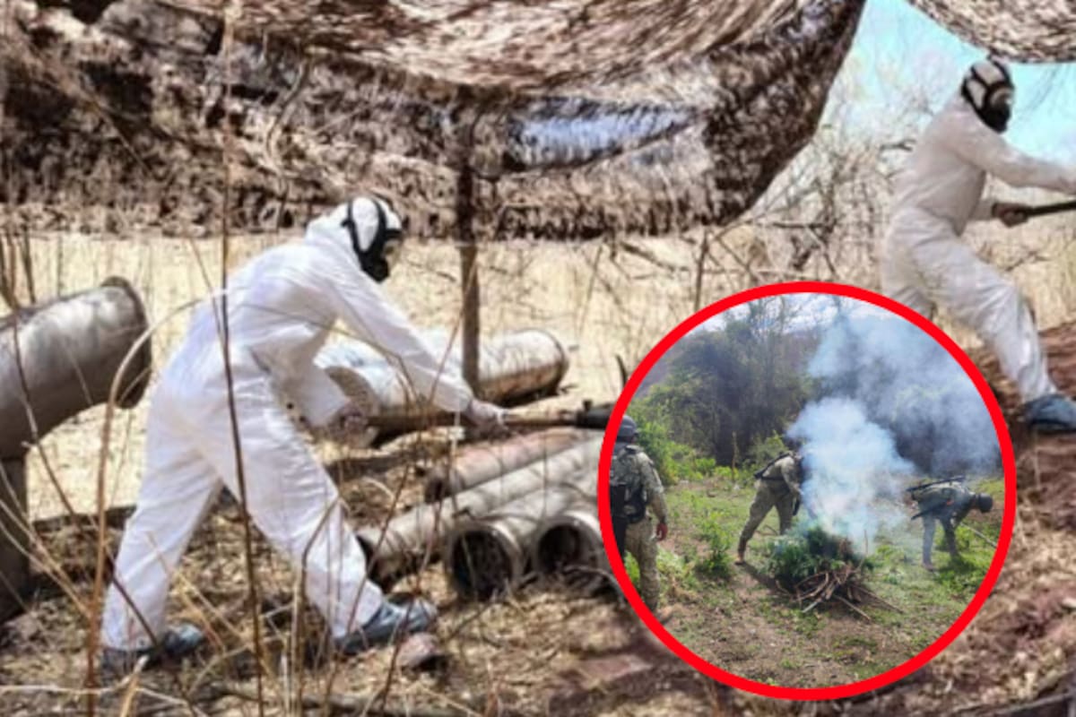Aseguran laboratorios clandestinos y plantío de marihuana en Culiacán y Cosalá