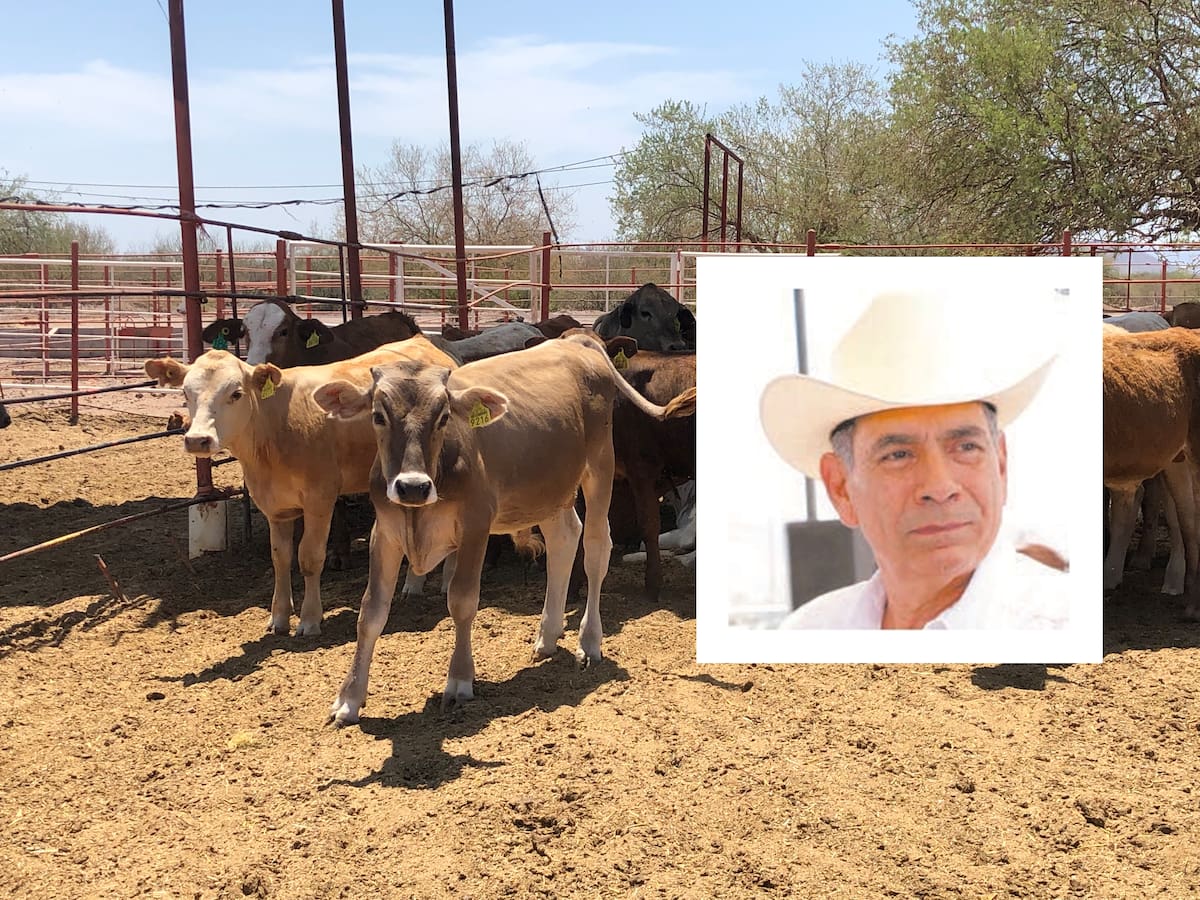El presidente de la Unión Ganadera Regional de Sonora (UGRS) detalló que autoridades sanitarias de EU les solicitaron adecuaciones en estaciones estaciones cuarentenarias de Agua Prieta y Nogales. FOTO: ESPECIAL