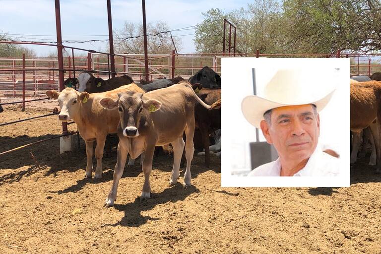 Hará Estados Unidos nueva revisión a ganado de Sonora: UGRS | Noticias de Sonora | El Imparcial