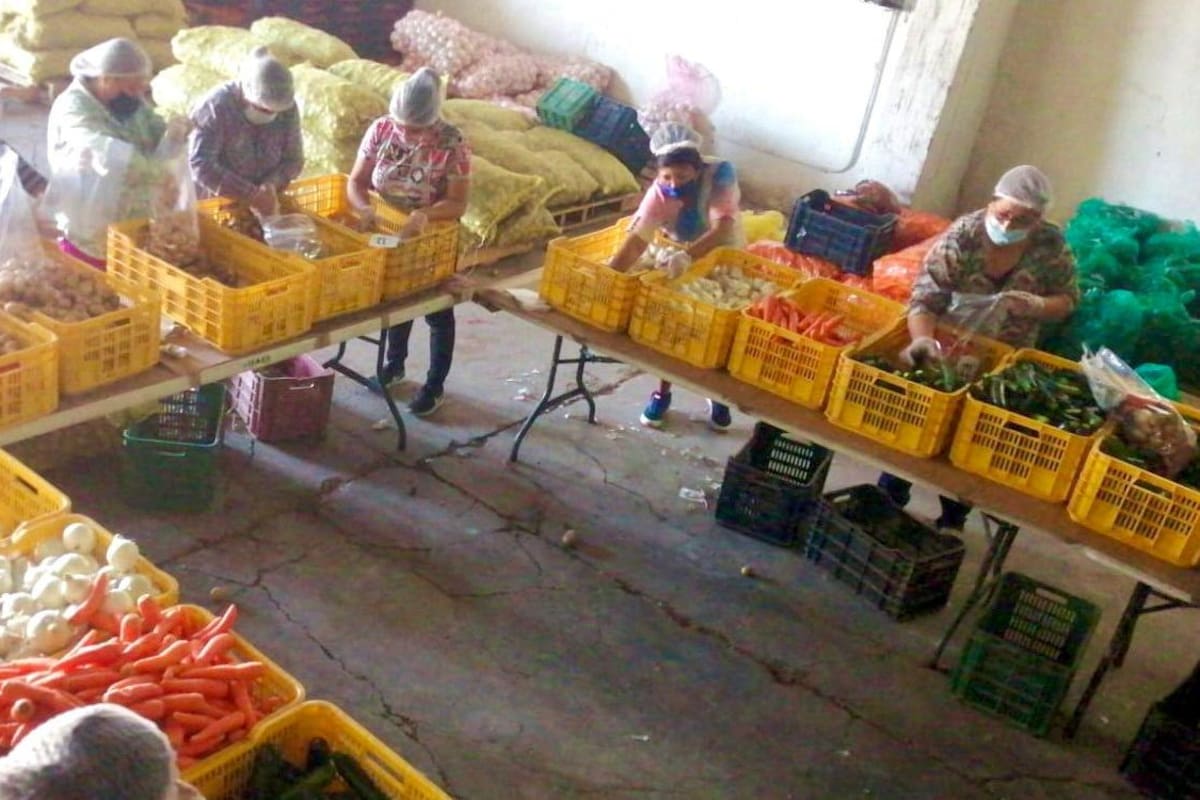 Entregan productores del Valle de Yaqui y Mayo más de 20 mil despensas durante 2022