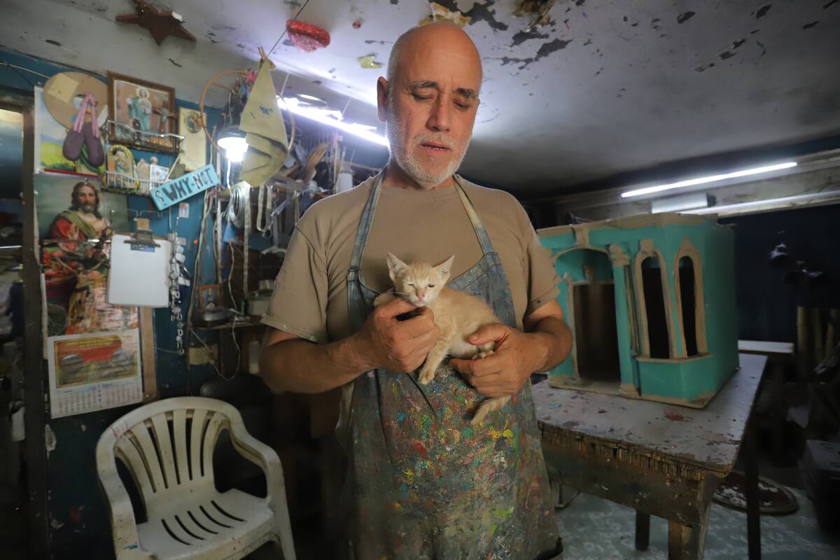 Ayuda para rescatista en Hermosillo: Claus Krimpe vende rascadores para gatos