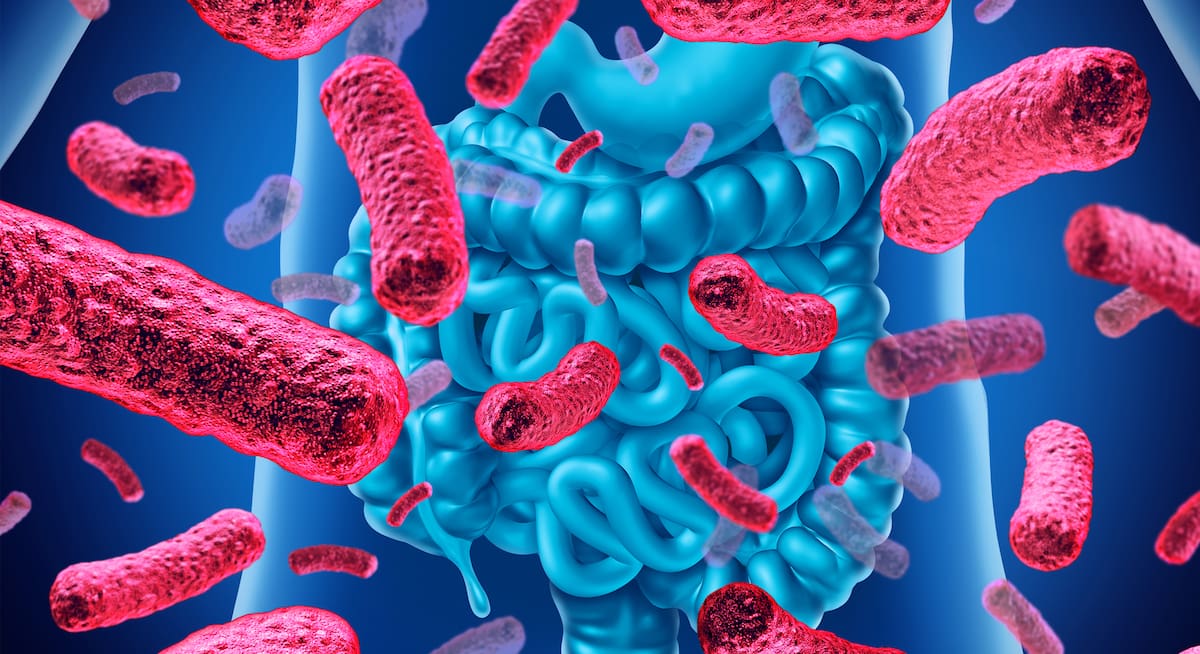 La próxima vez que veas esos productos etiquetados como "ricos en probióticos", recuerda que son mucho más que solo bacterias.