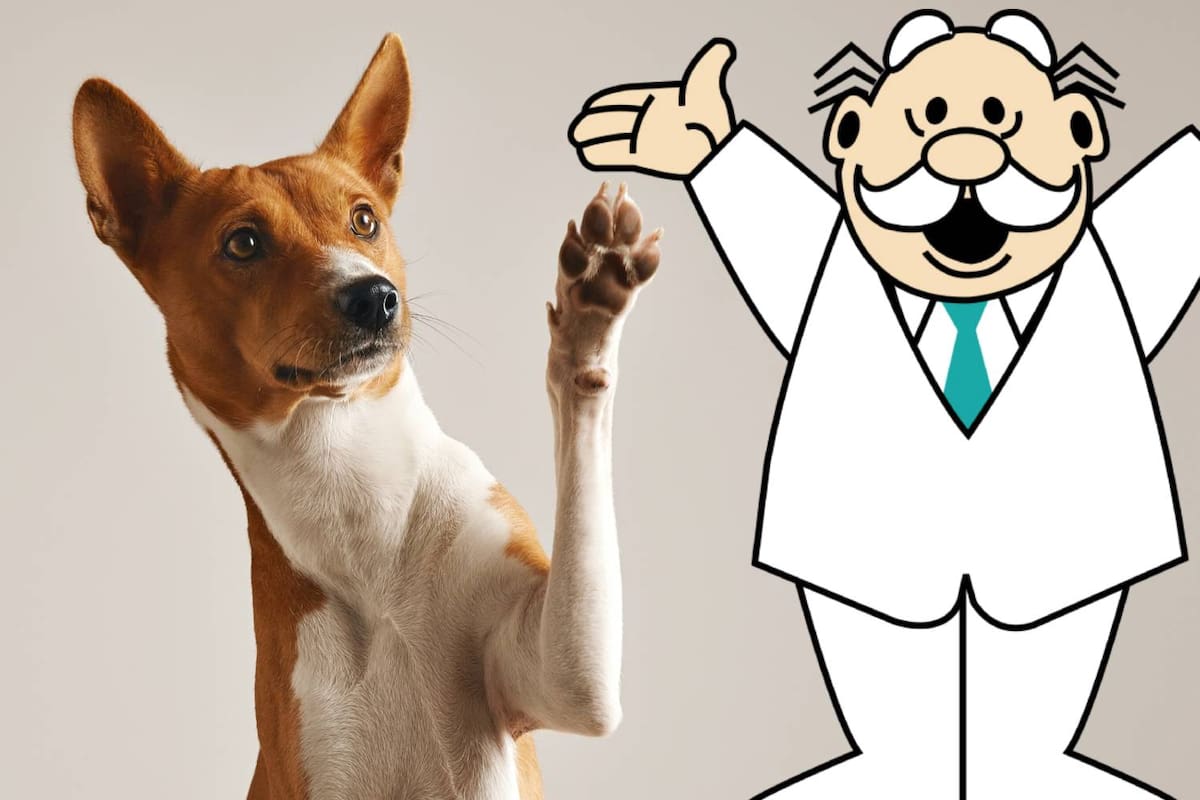 SimiPet Care: Farmacias Similares se expanden y ahora tendrán veterinarias