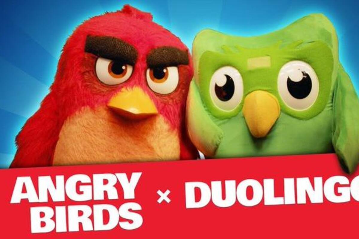 Crossover entre Angry Birds y Duolingo
