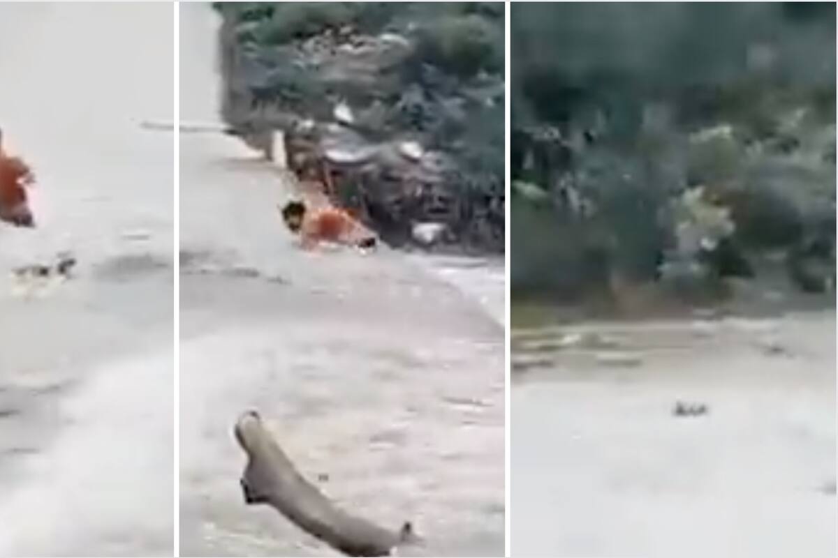 VIDEO: ¡Hombre es arrastrado por arroyo y sobrevive! Sucedió en el Río Los Perros en Juchitán de Zaragoza, Oaxaca