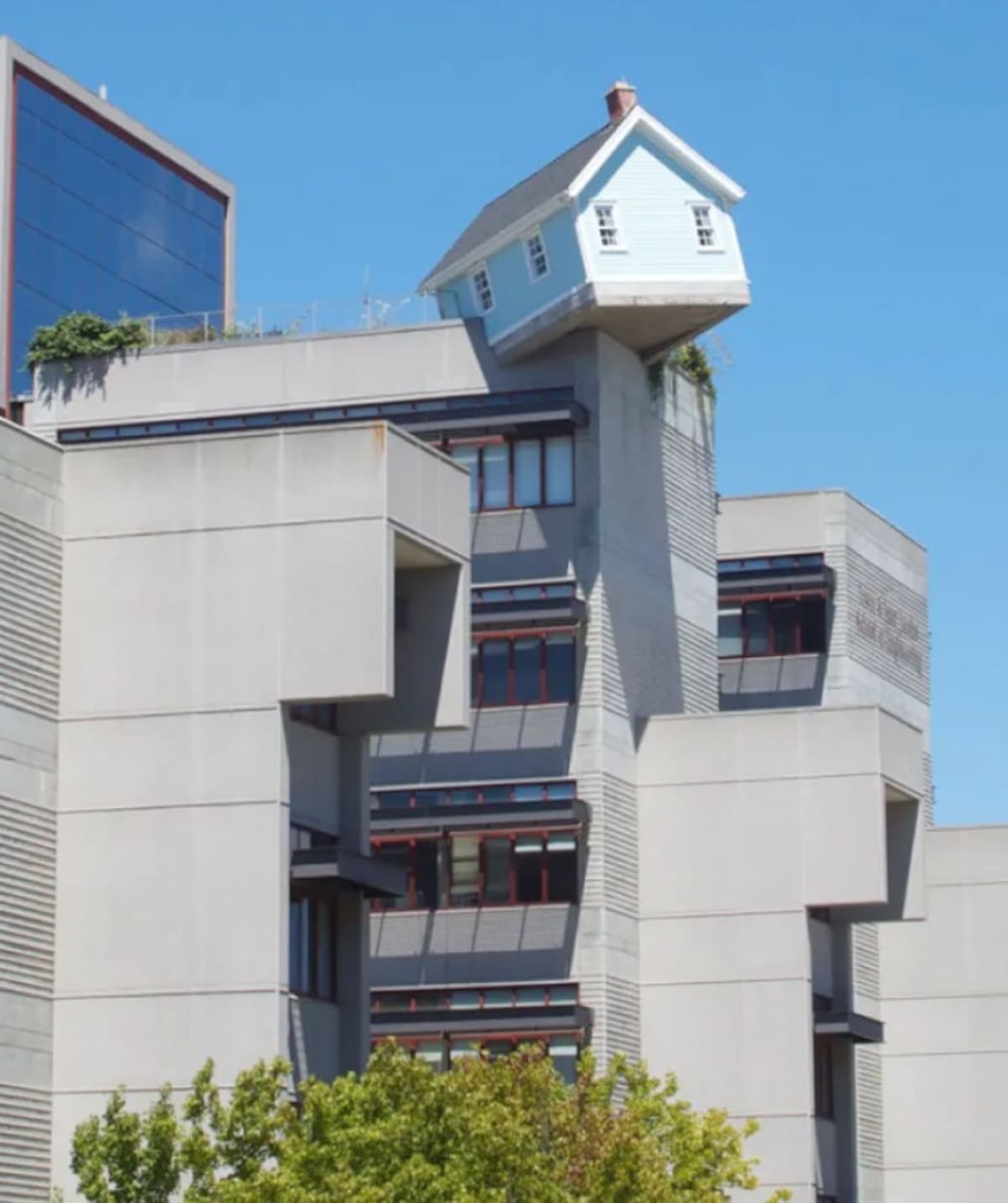 La inclinación no es un detalle menor: es el elemento que transforma la visita en una experiencia casi física. Foto: Cortesía