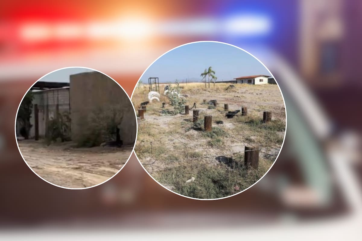 Hallan crematorio con más de 50 cuerpos sin medidas sanitarias en Chihuahua