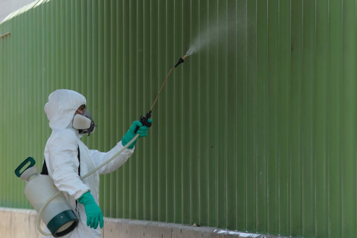 Estas fueron las primeras epidemias que llegaron a la CDMX