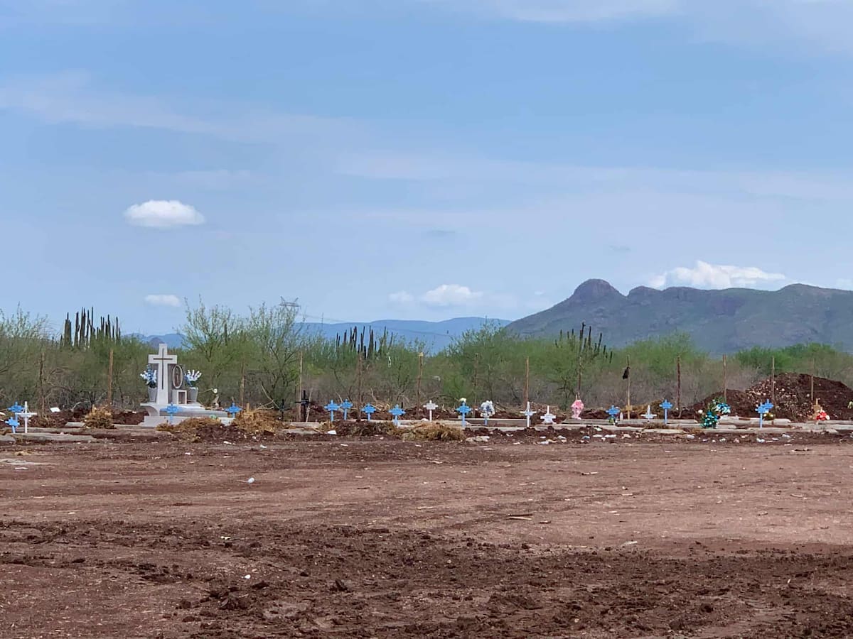 Alrededor de 85 lotes de este nuevo espacio ya han sido utilizados.