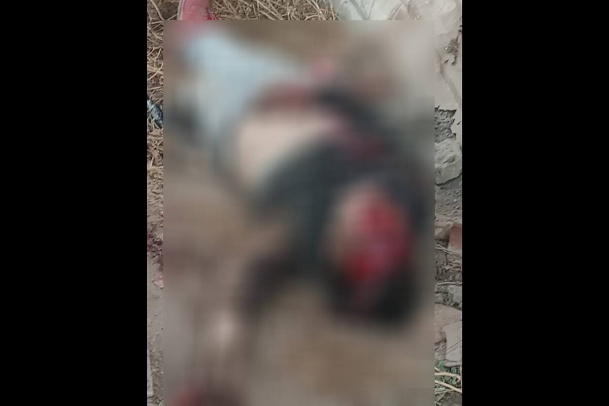 Hombre muere tras ser severamente golpeado en el rostro en Granjas Virreyes