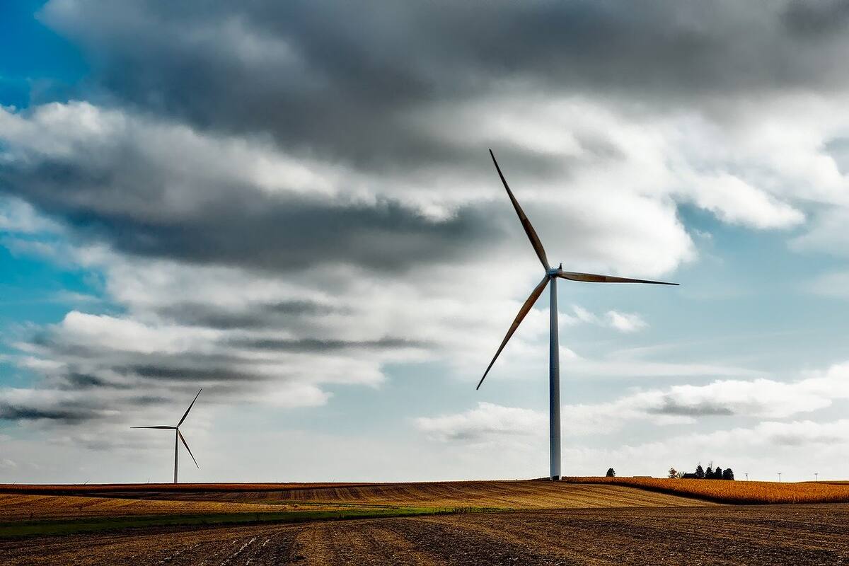 Grupo francés EDF invertirá 179 mdd en parque eólico en Brasil