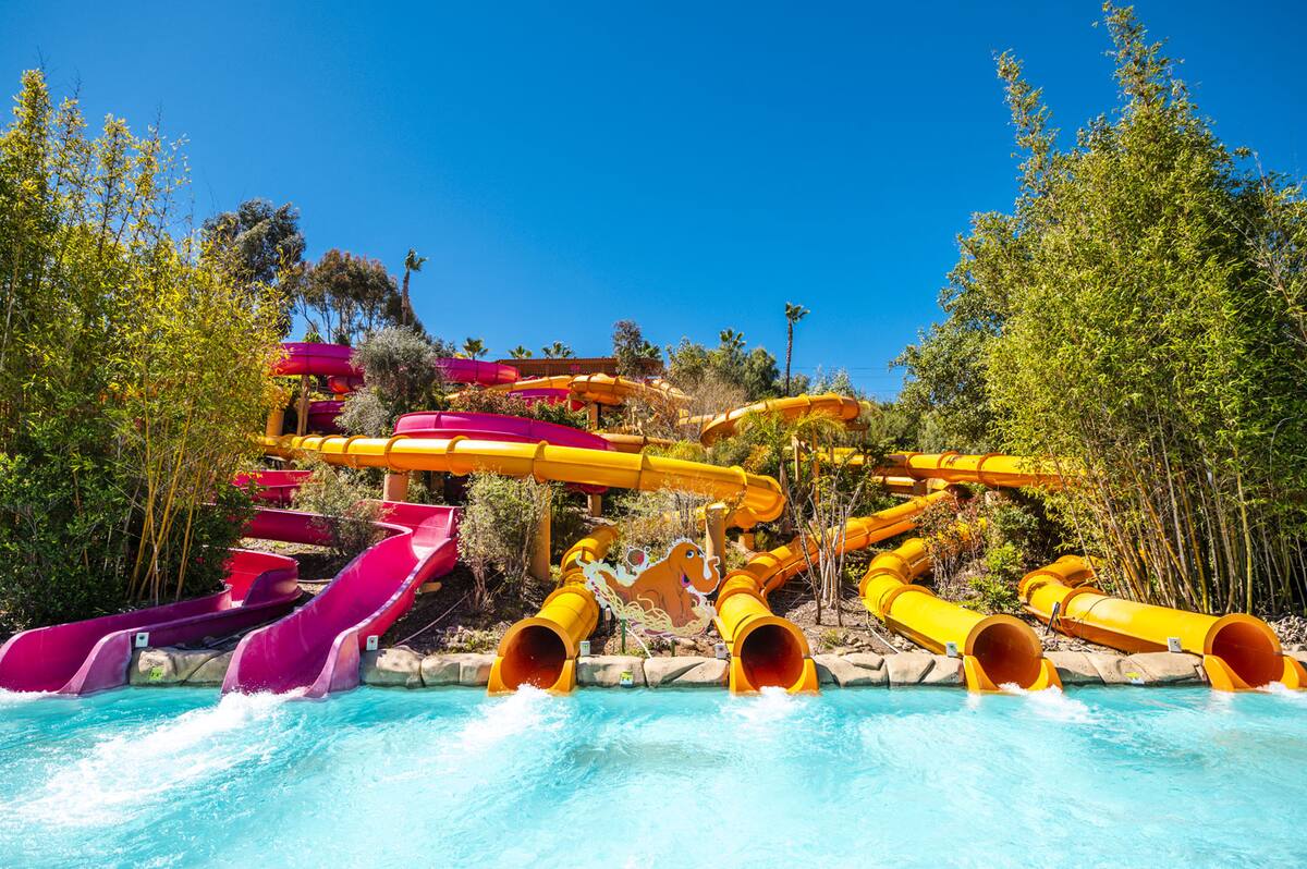 The Count's Splash Castle, la última incorporación al parque, cuenta con 111 elementos de juego en toda la estructura de juego de varios niveles.