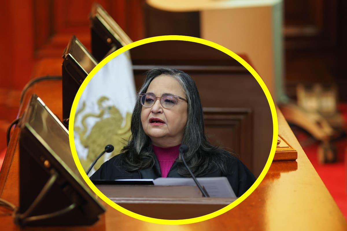 Este se perfila a ser el relevo de Norma Piña en la SCJN