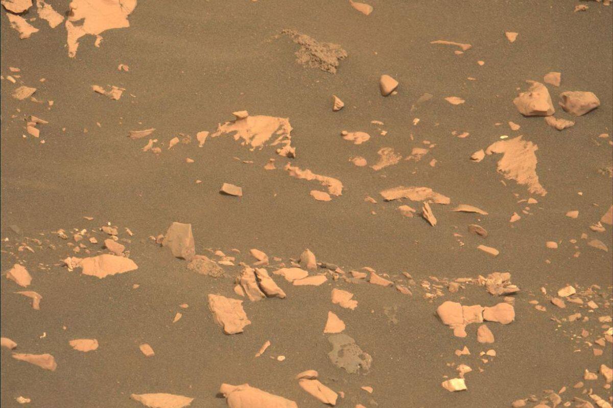 El rover Perseverance ha descubierto un ‘hongo’ en la superficie de Marte