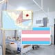 Un juez en Aguascalientes ordenó realizar una cirugía de reasignación sexual a una mujer trans tras conceder un amparo y estableció que negar el procedimiento vulnera derechos a la salud y al libre desarrollo de la personalidad
