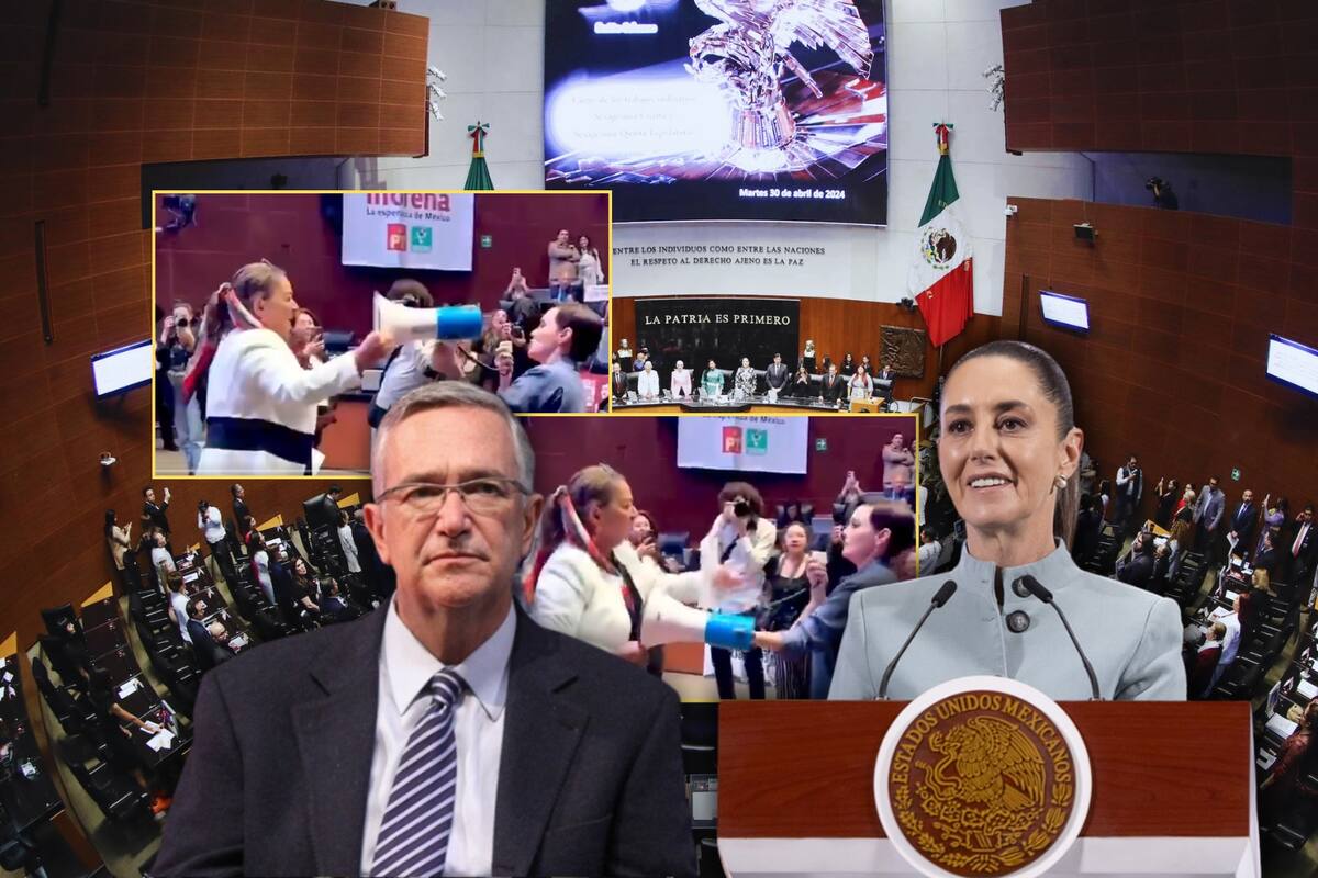 VIDEO | Senadora de Morena arrebata megáfono a Lilly Téllez entre jaloneos, en medio de acusaciones de “narcogobierno”; Ricardo Salinas Pliego reacciona: “Son rateros naturales”