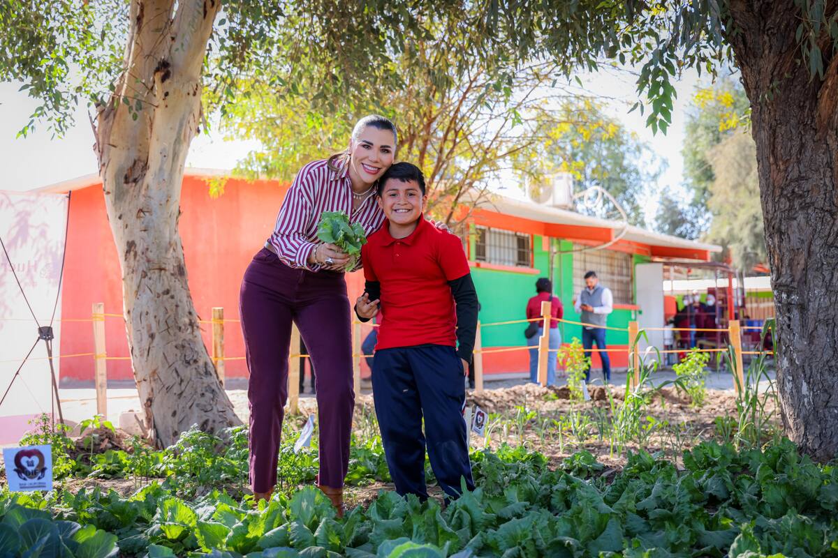 Benefician a más de 9 mil los huertos escolares