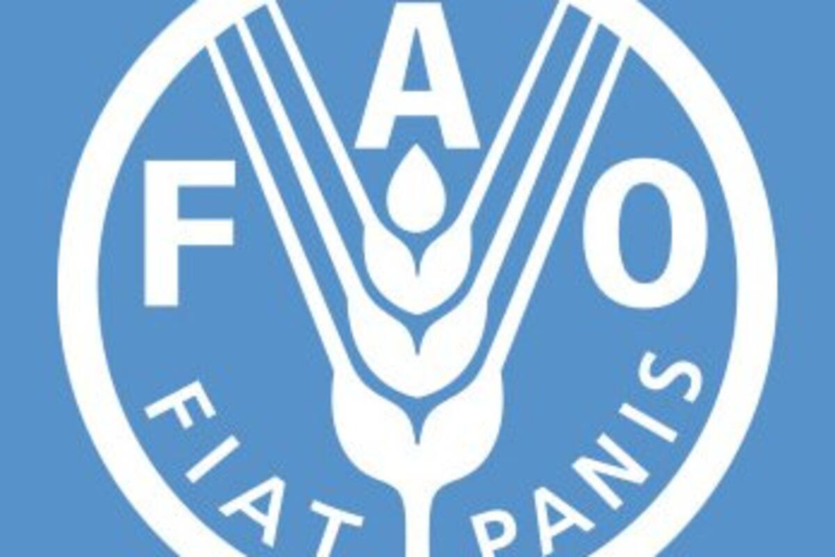 AFGANISTÁN.- FAO pide 36 millones de dólares de ayuda para "salvar medios de vida rurales"