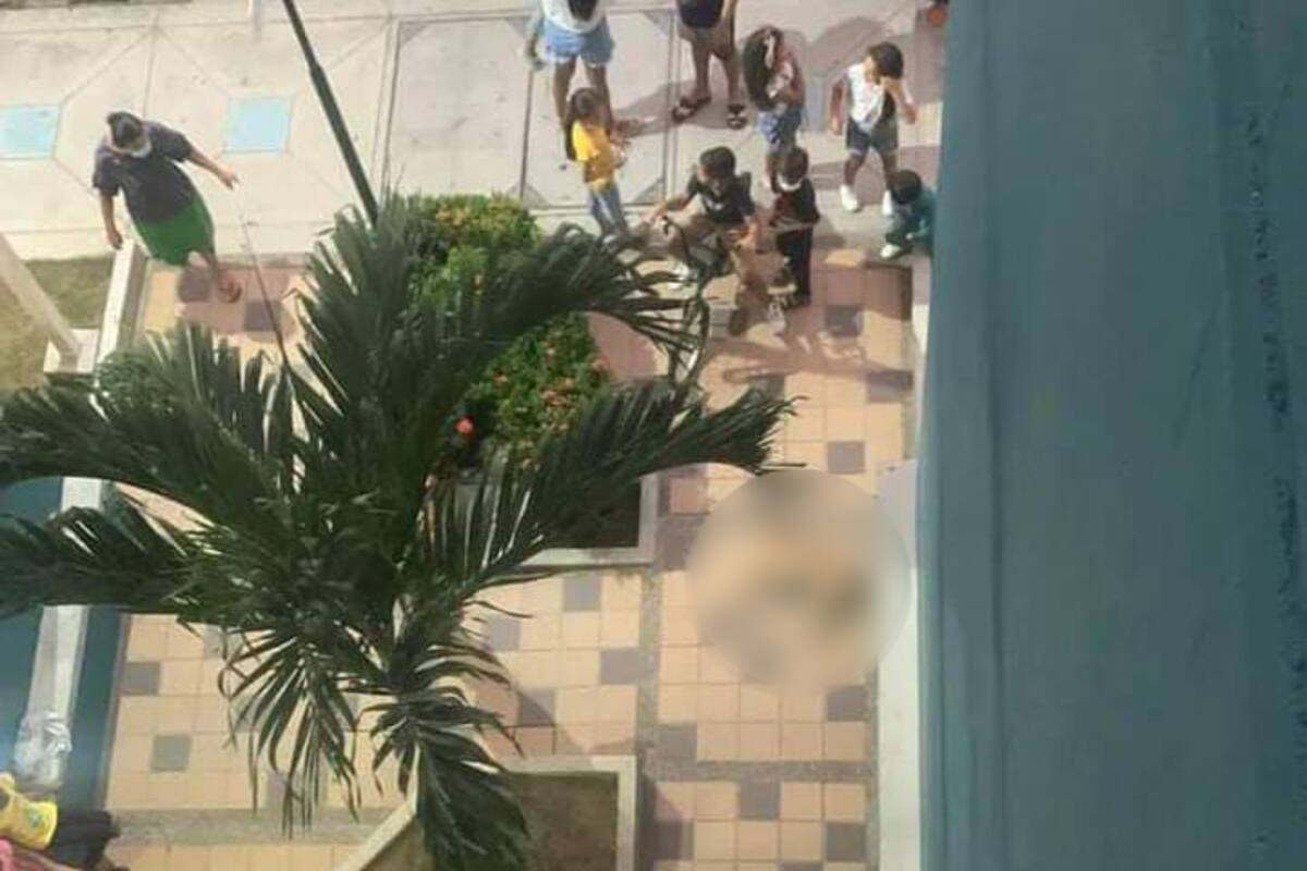 Colombia: Perro muere tras ser lanzado de un edificio porque perdió la selección