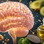 ¿Sabías que el 60 % del cerebro humano está compuesto por grasa?