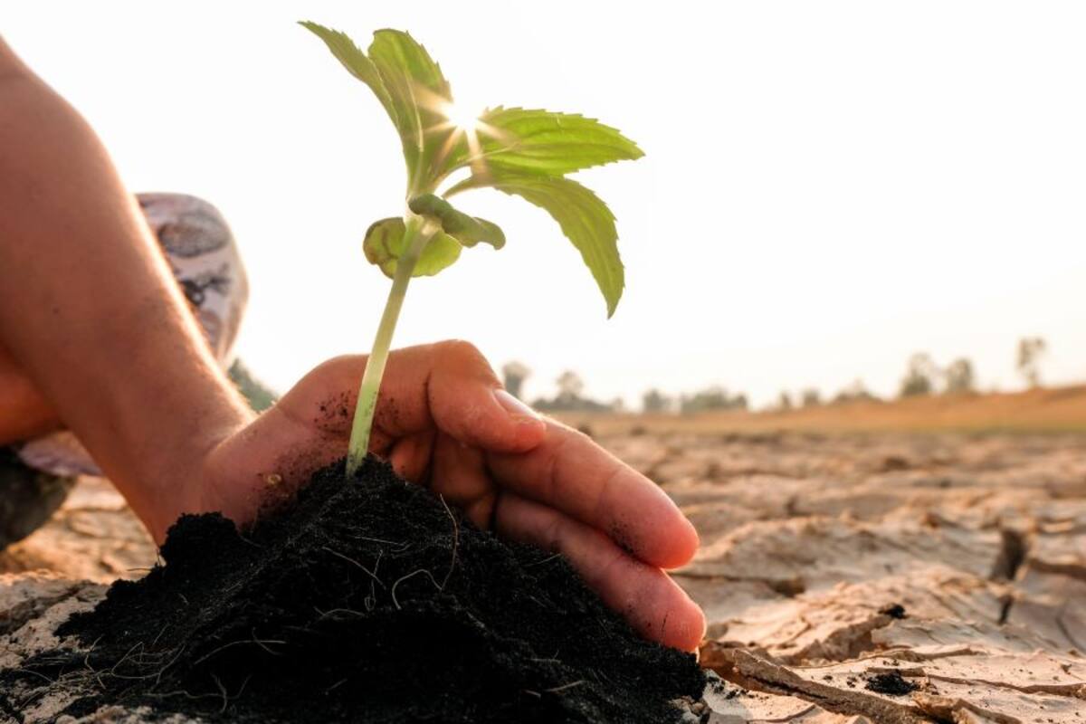 Día Mundial del Medio Ambiente: ¿Desde cuándo se celebra?