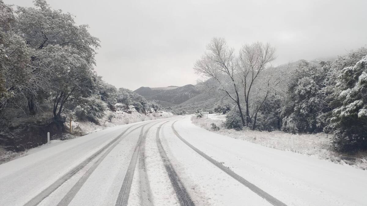 Carretera Ímuris-Cananea que fue cerrada por unas horas por las autoridades estatales ante la intensa nevada. FOTO: ESPECIAL