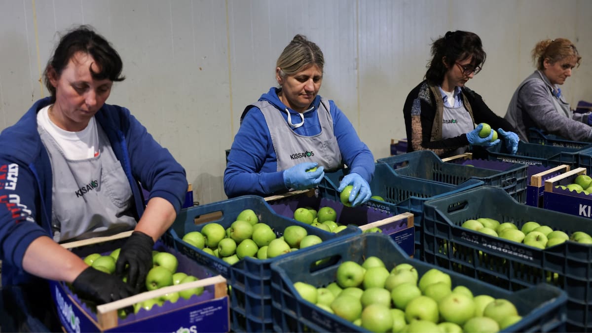 En países como España, Italia y Francia, más del 80% de las manzanas contienen múltiples residuos químicos. /Reuters