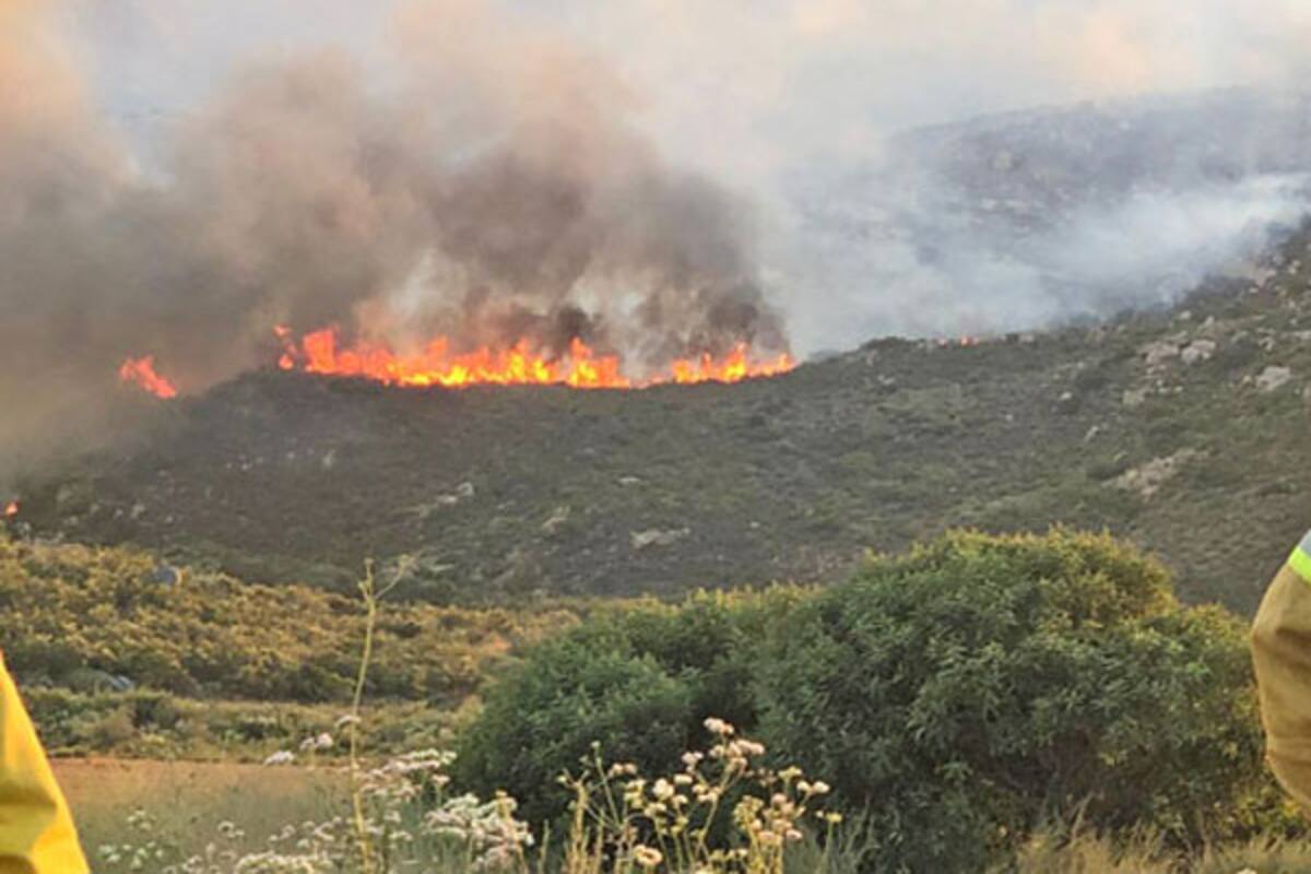 Controlan en un 65% incendio forestal de Valle de las Palmas