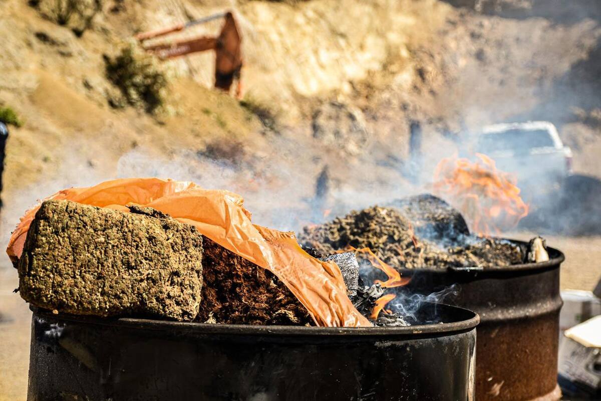 FGE incinera en Tecate narcóticos asegurados