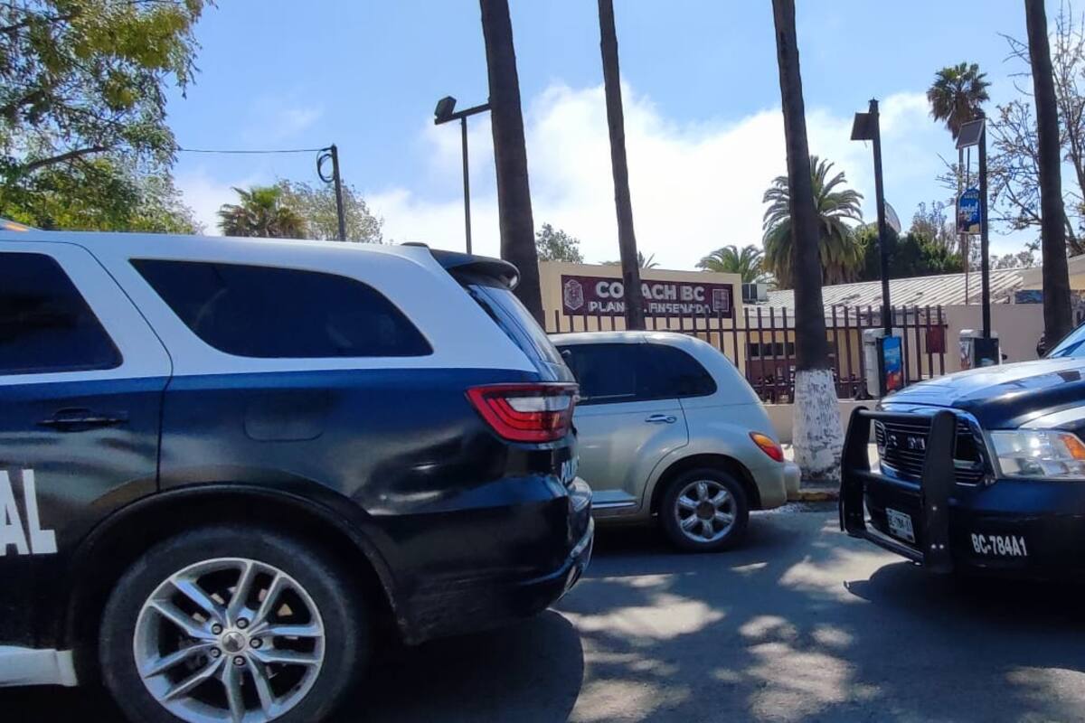 Detienen a joven con arma de fuego en el Cobach Ensenada