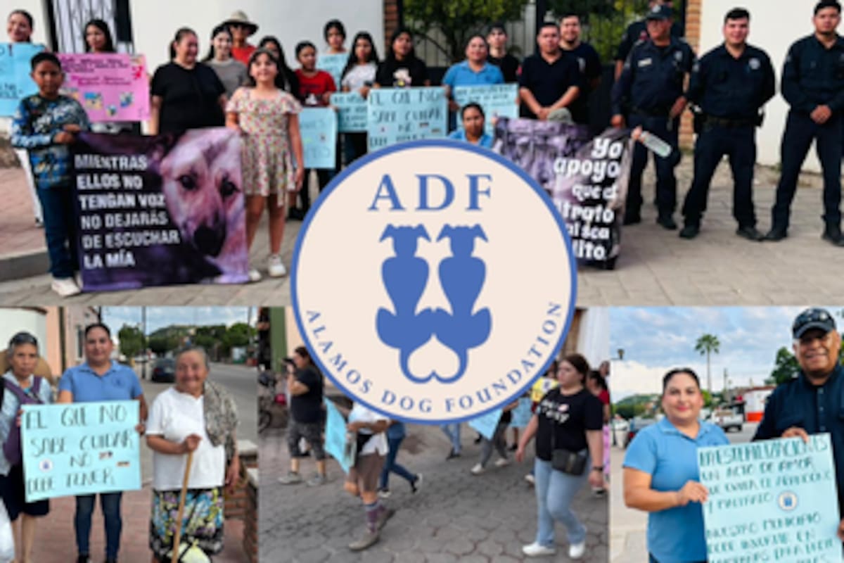 “No queremos más perritos sufriendo” Álamos tiene su primera marcha contra el maltrato animal, buscan crear conciencia y exigir justicia