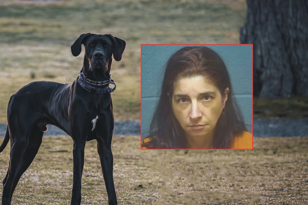 Mujer abusó sexualmente de su perro gran danés, grabó los actos brutales y los publicó en internet; en uno de los videos dejó ver un tatuaje, lo que llevó a su detención
