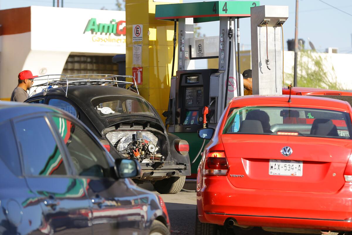 ¿Cuánto ha bajado el precio de la gasolina Magna, Premium y Diésel?