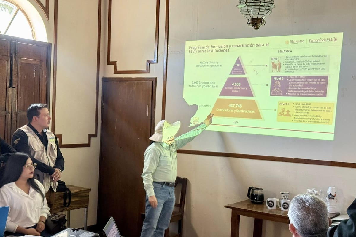 Instalan Comité Municipal para la atención del Gusano Barrenador en Álamos, Sonora