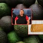Huertas de aguacate vinculadas a La Familia Michoacana tienen permiso para exportar a China desde 2020 y abarcan 500 hectáreas en Michoacán