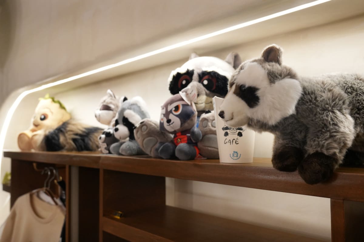 Un café temático inspirado en mapaches abre sus puertas en la Zona Centro, ofreciendo una experiencia creativa y bebidas originales para el público tijuanense. Foto: Carlos Cruz