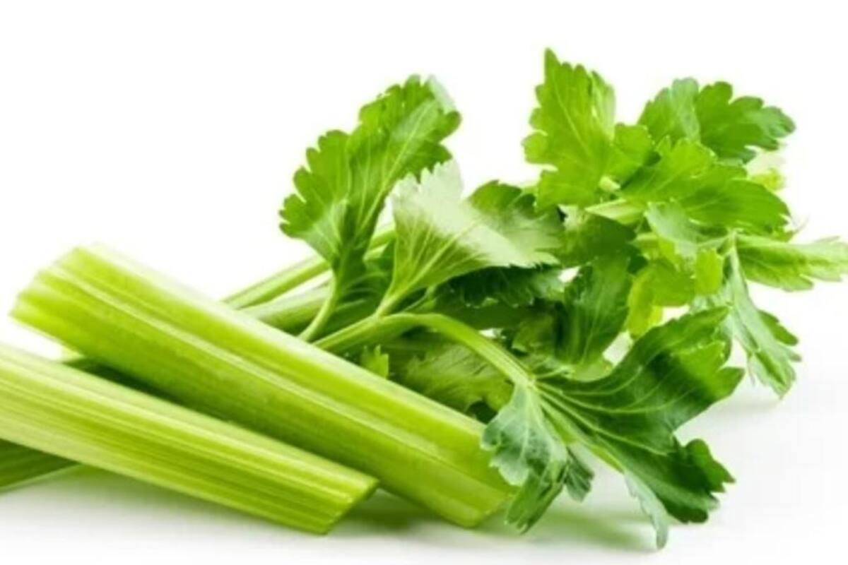 Consejos para almacenar el apio y conservarlo fresco