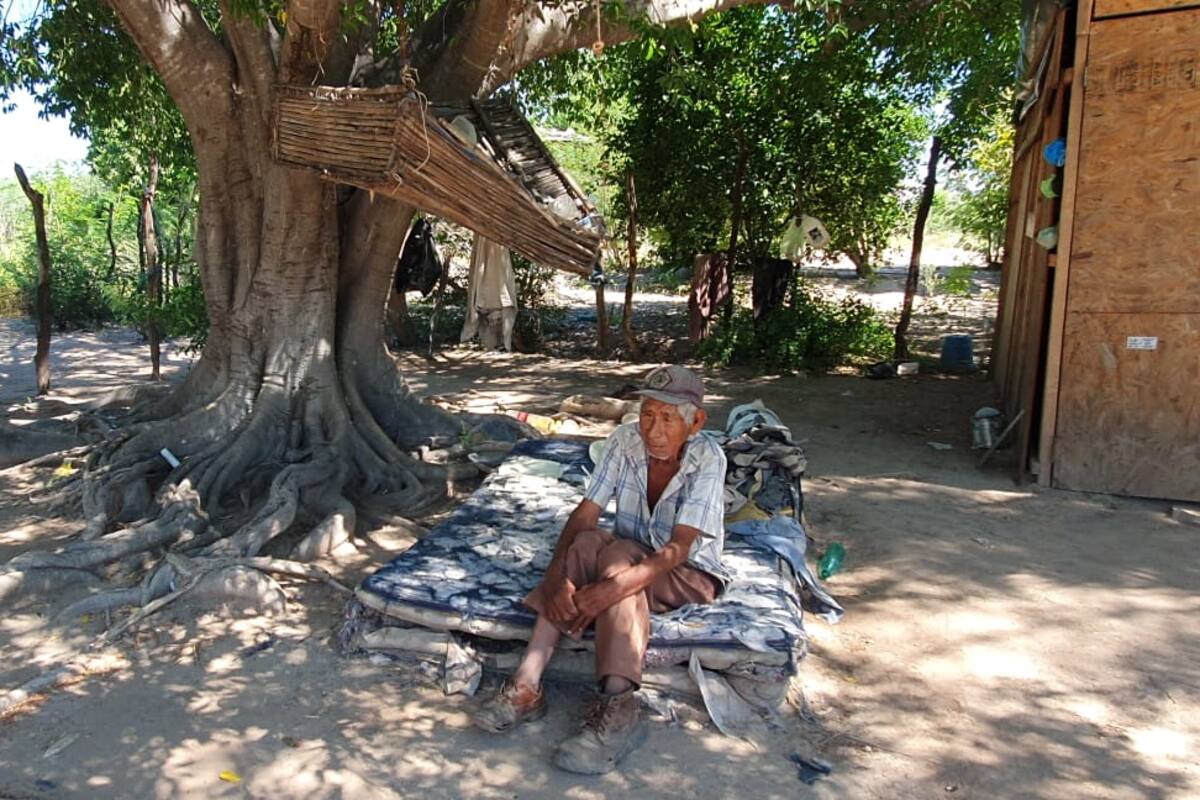 Navojoa: A Leucadio le hicieron una casita, pero le gusta más vivir debajo de un árbol