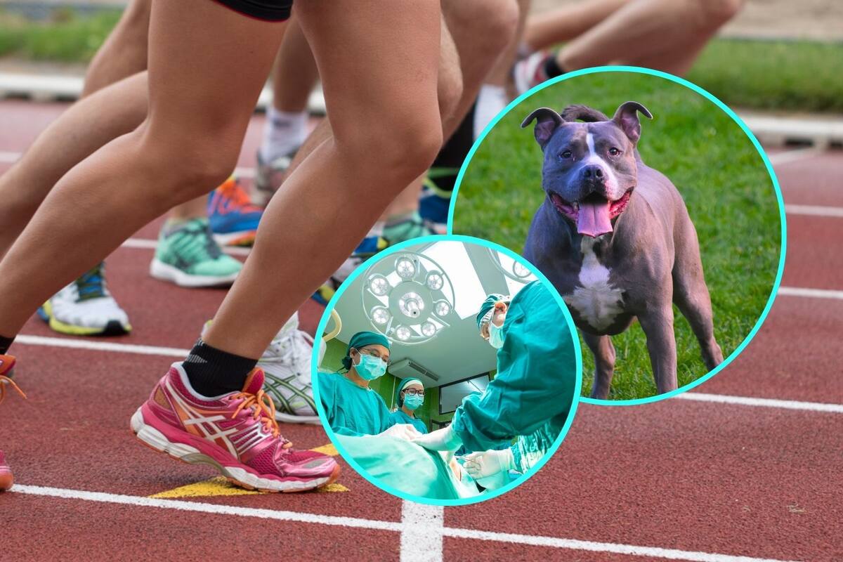 Atleta oaxaqueña podría perder los brazos por ataque de tres pitbulls