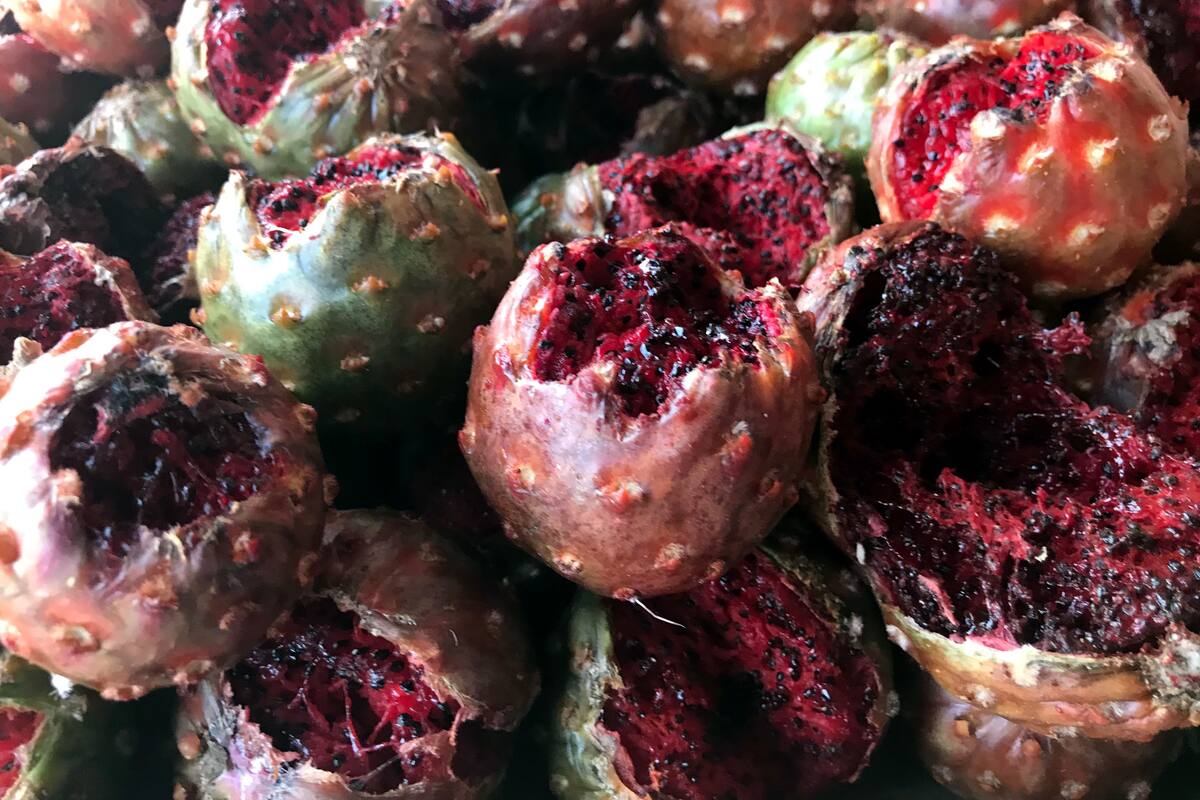 Alicia vende pitahayas desde hace una década