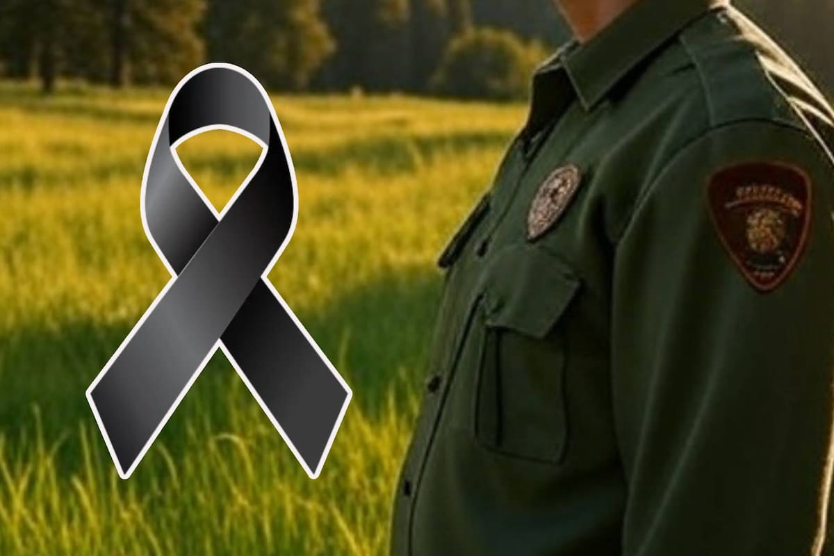 EEUU: Padre e hija mueren por exposición al clima en una montaña; guardabosques hallaron su vehículo