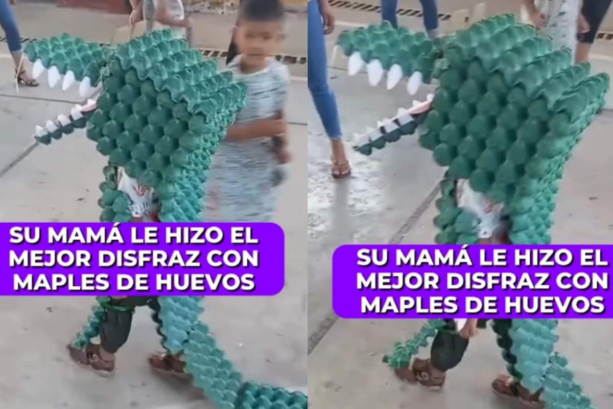 Niño se viraliza en redes con un original disfraz de dinosaurio hecho con cajas de huevo