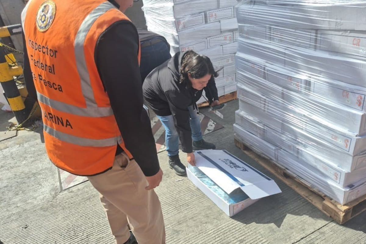Autoridades retienen producto marino en veda en Ensenada
