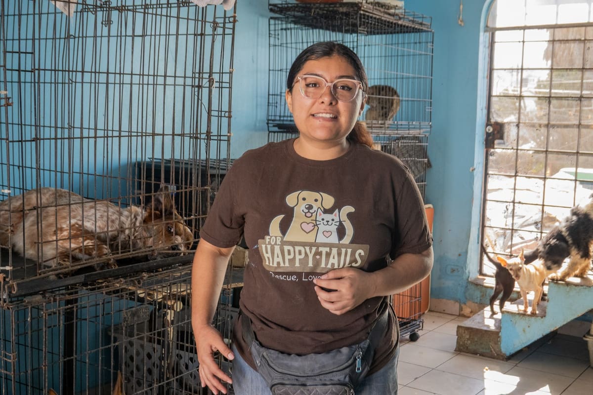Fundado hace ocho años por Aide Guadalupe Enríquez López, el espacio se encuentra en su máxima capacidad y llama a la comunidad a apoyar con adopciones responsables o donaciones. Foto: Border Zoom