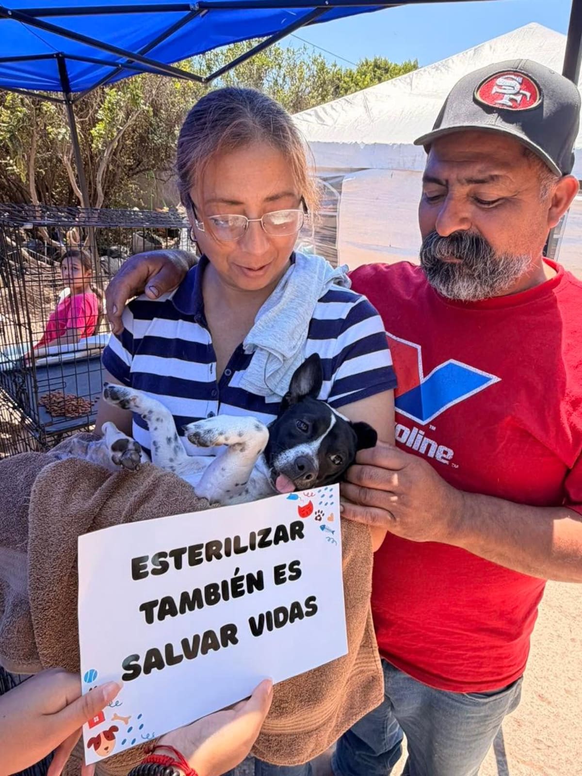Durante una jornada en la colonia Morelos, Huellitas Enjambre esterilizó 53 perros y gatos y sumó apoyos culturales para fortalecer sus acciones de rescate animal. Foto: Cortesía.