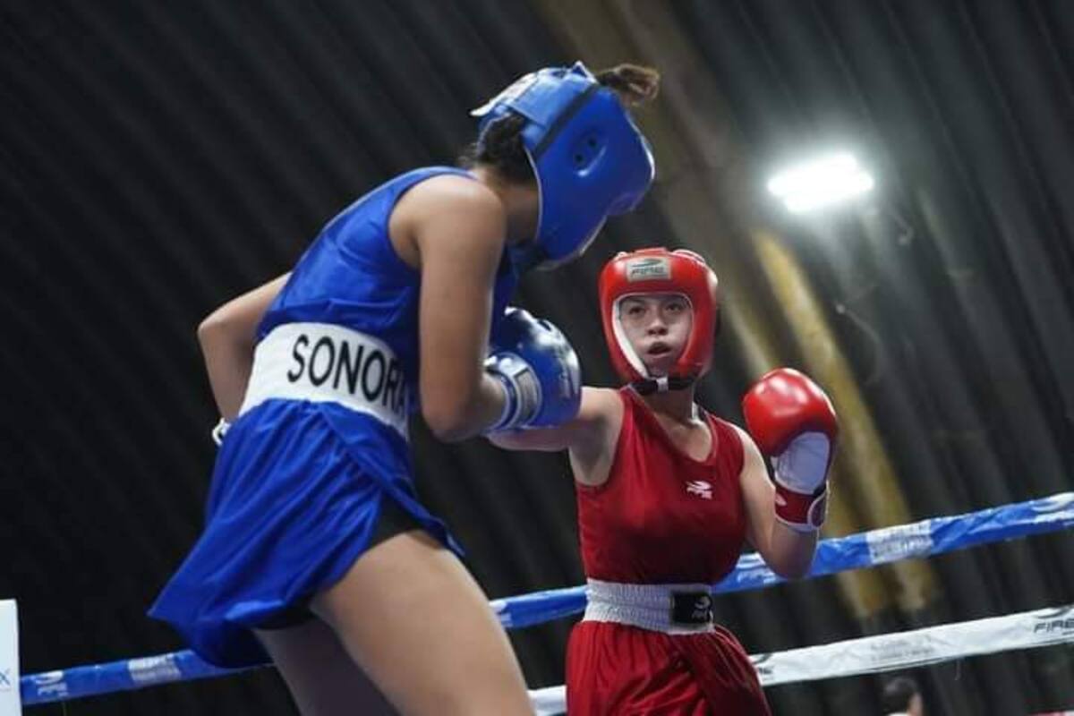 BC destaca en el Festival Olímpico de Boxeo