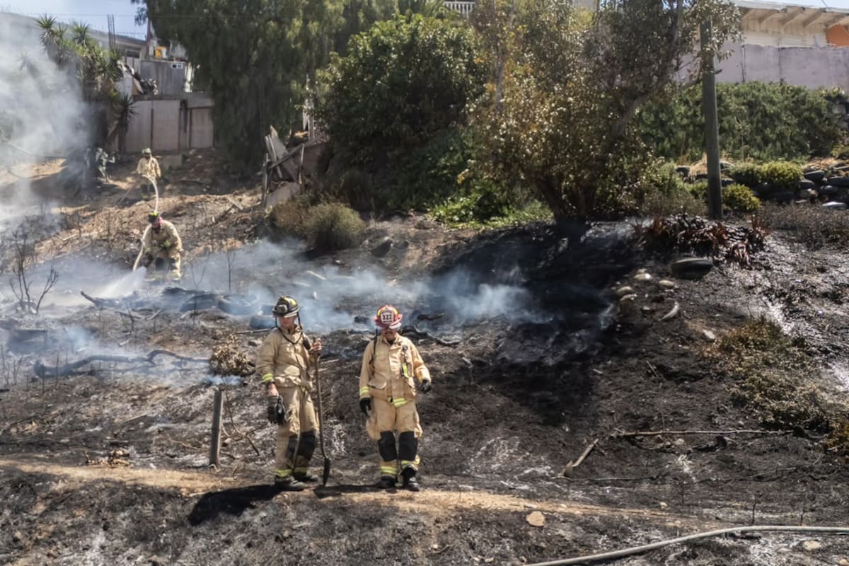 Bomberos controlan incendio de pastizal en el bulevar Rosas Magallón y evitan daños a vivienda