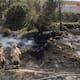 Bomberos controlan incendio de pastizal en el bulevar Rosas Magallón y evitan daños a vivienda