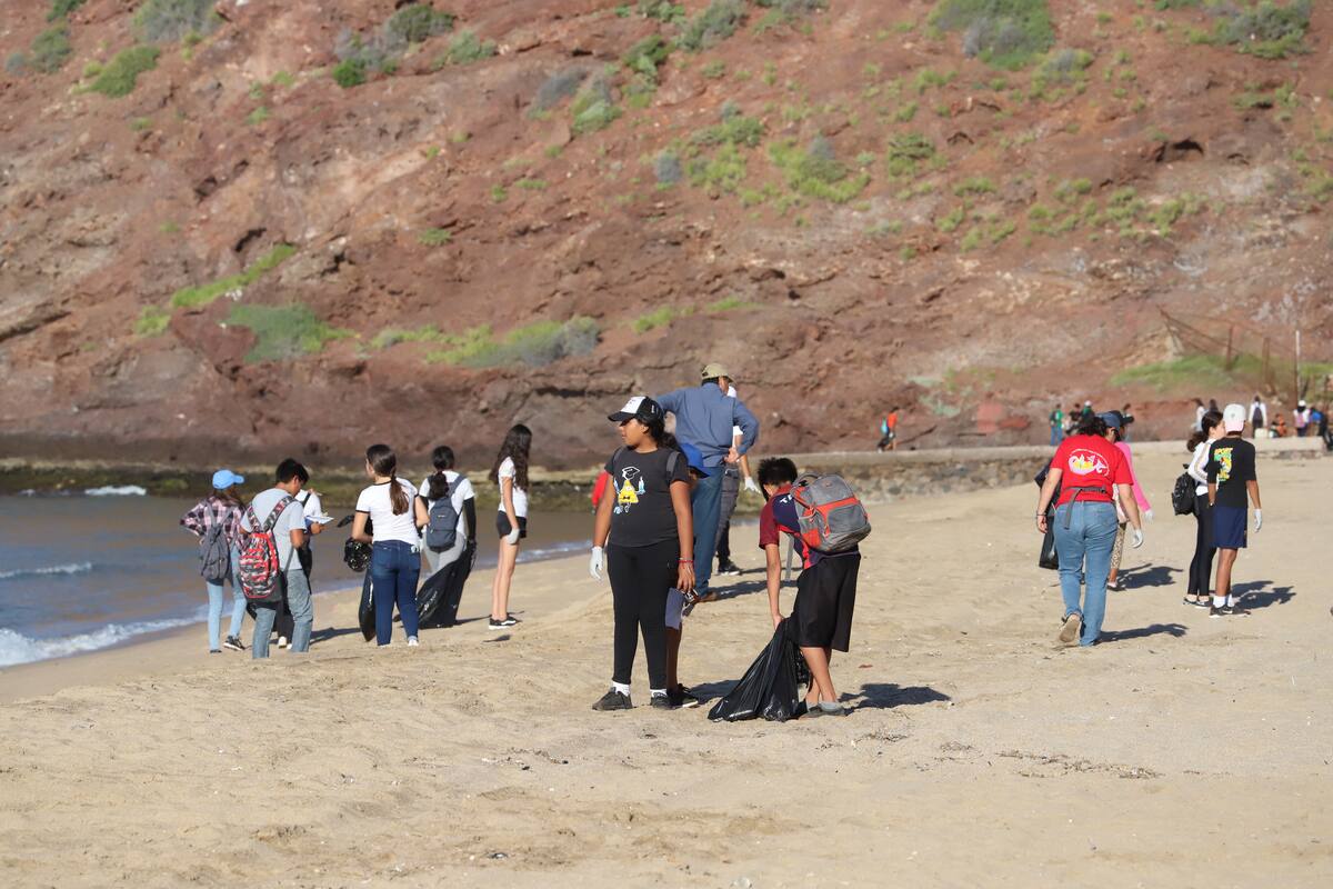 Organizan quinta Mega Limpieza en Bahía de Kino